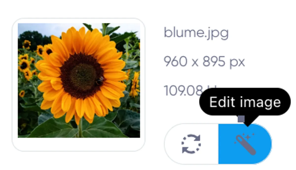 Edit Image Option