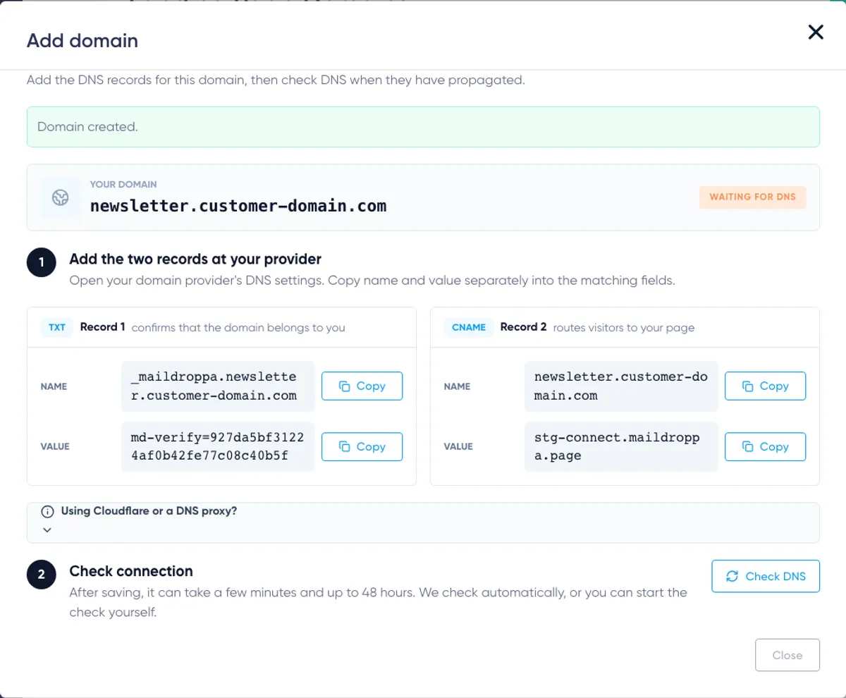 Landing Page Domains: domain DNS setup