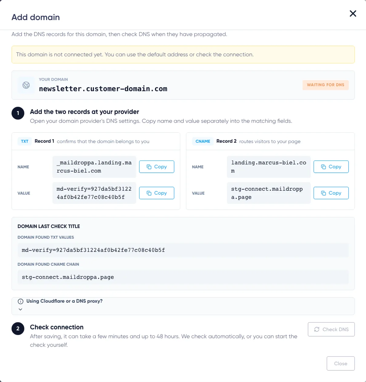 Landing Page Domains: checked DNS details