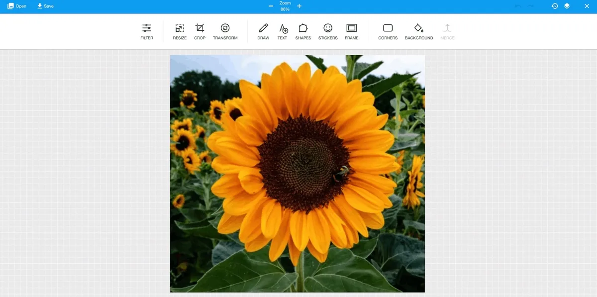 Stripo Image Editor