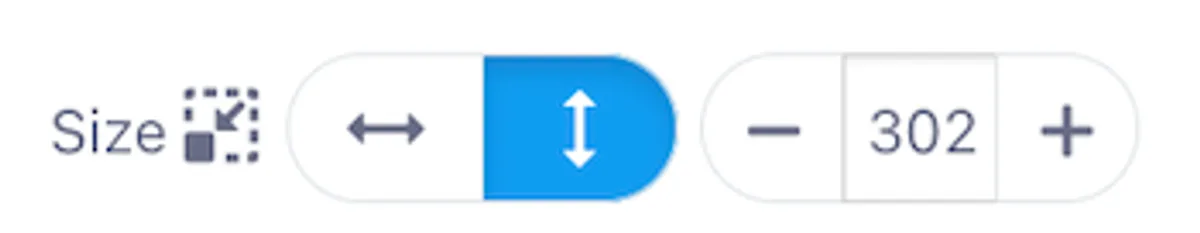 Adjust the video size