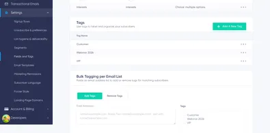 Subscriber Fields and Tags: complete fields and tags page